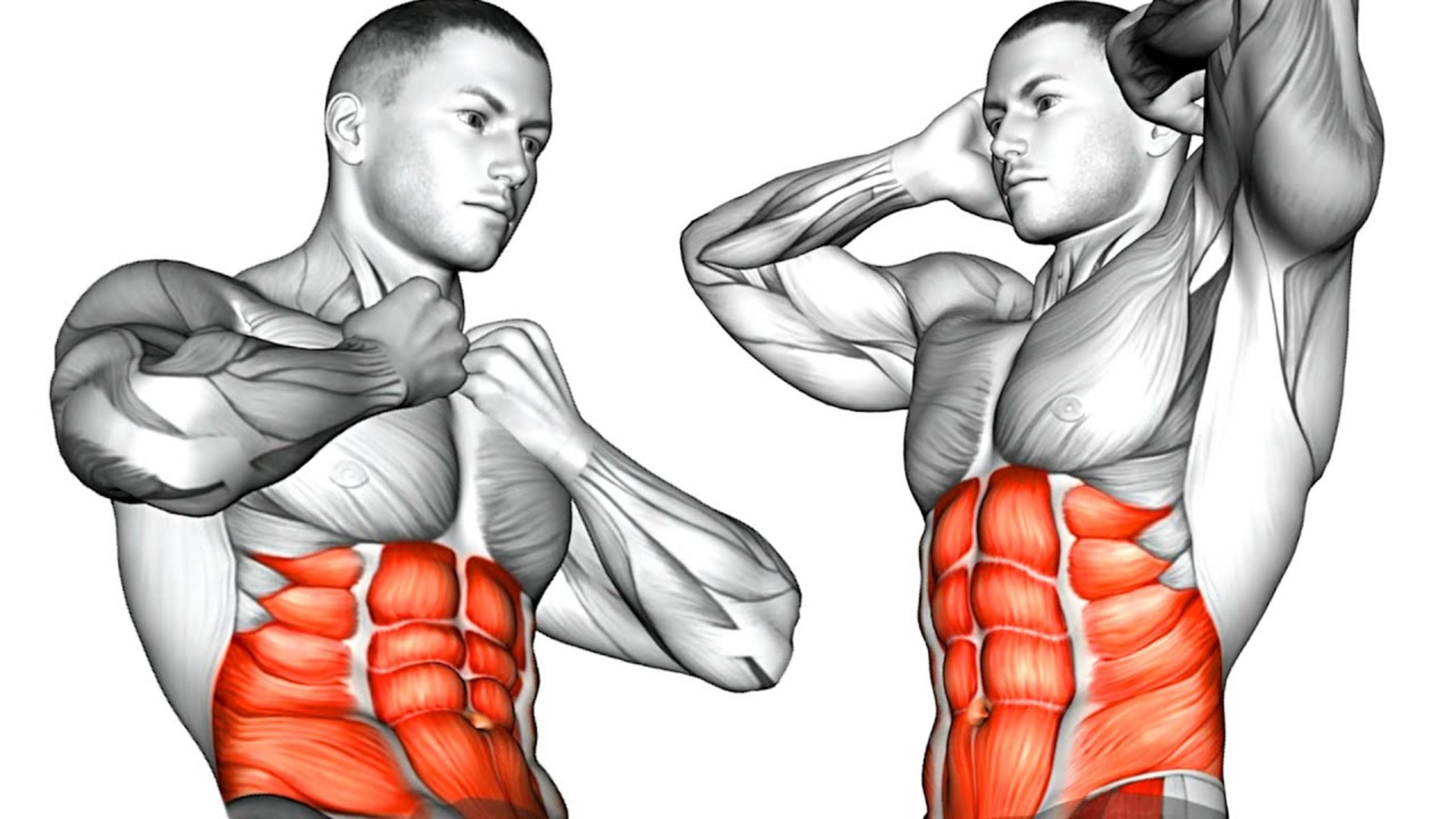 Выполните эти 12 упражнений и получите Плоский Живот всего за 30 дней смотреть онлайн