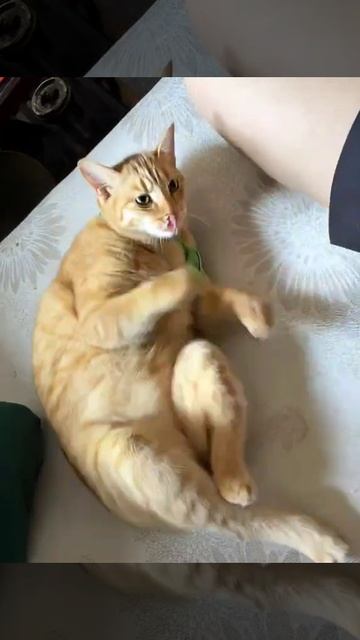 танец 10 из 10 смотреть онлайн