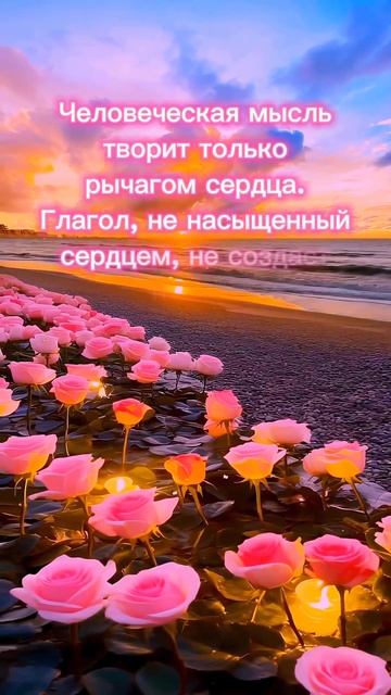 #агнийога #живая_этика #сердце #мудрость_великих_учителей #мудрость смотреть онлайн