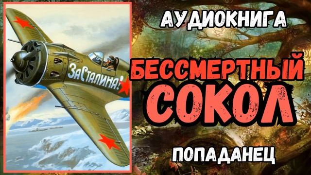 АУДИОРАССКАЗ | ПОПАДАНЕЦ В ПРОШЛОЕ: БЕССМЕРТНЫЙ СОКОЛ смотреть онлайн