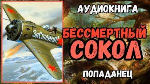 АУДИОРАССКАЗ | ПОПАДАНЕЦ В ПРОШЛОЕ: БЕССМЕРТНЫЙ СОКОЛ
