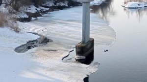 🌊Мартовские акварели🌊Река Осётр🌊Утки на Осетре🌊