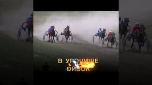 Олимпиада Республики Алтай 2025
Скачки