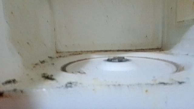 микроволновка  самсунг MW71ER