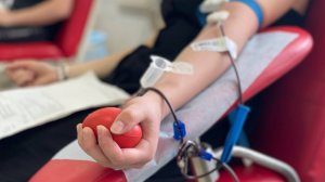 Международный День донора