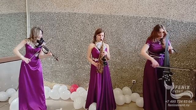 Заказать струнный коллектив на встречу гостей в Москве - живая музыка на праздник и свадьбу смотреть онлайн