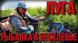 ФИДЕРНАЯ РЫБАЛКА НА РЕКЕ ЛУГА