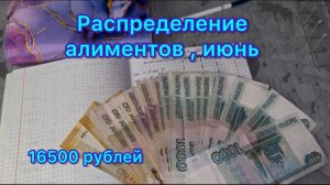 Распределение денег по конвертам . Алименты , июнь , 16500 рублей #системаконвертов