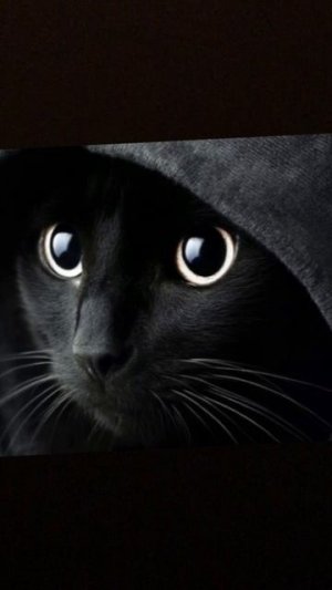 А это вообще законно?! (окак) #окак