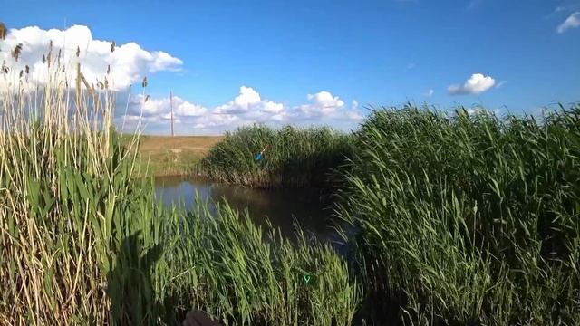 рыбалка на поплавок смотреть онлайн