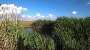 рыбалка на поплавок