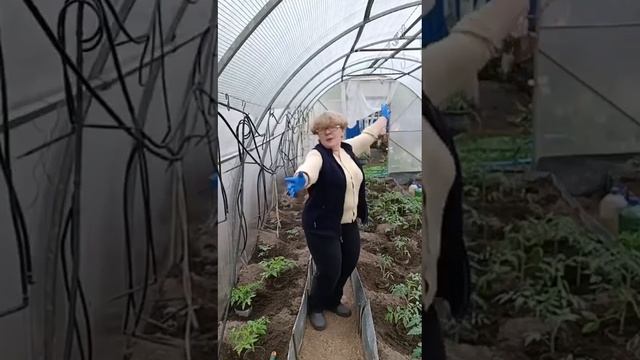 Мне всегда 17 смотреть онлайн