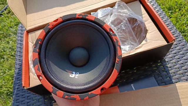 DL Audio Gryphon Pro 165 Midbass в Daewoo Matiz