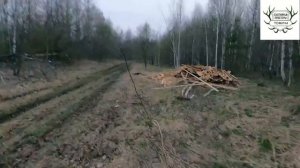 #7. Мега охота на новом месте!!! Охота на вальдшнепа 2025г.