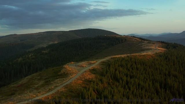 Эта мелодия синхронизирует хаос - услышьте порядок! - Chainlink Melody -- Podington Bear -- Said Lio