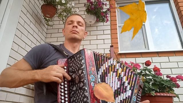 Листья желтые смотреть онлайн