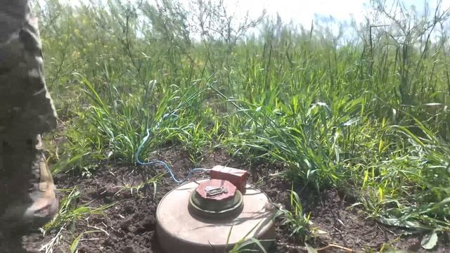 Сапёры Новороссийских десантников разминируют занятые позиции в Запорожской области