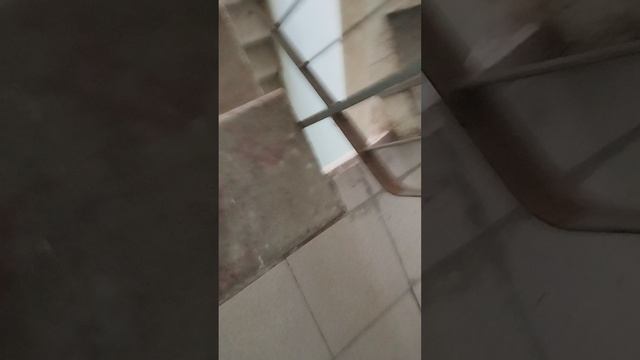 ПРИХОЖУ НА ПОДЪЕЗД#хочуврек