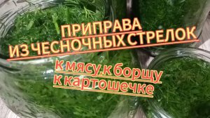 Ароматная ПРИПРАВА из ЧЕСНОЧНЫХ СТРЕЛОК.К мясу// К борщу// К картошечке.