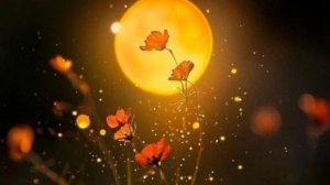 Открытки добрый вечер и спокойной ночи 😘