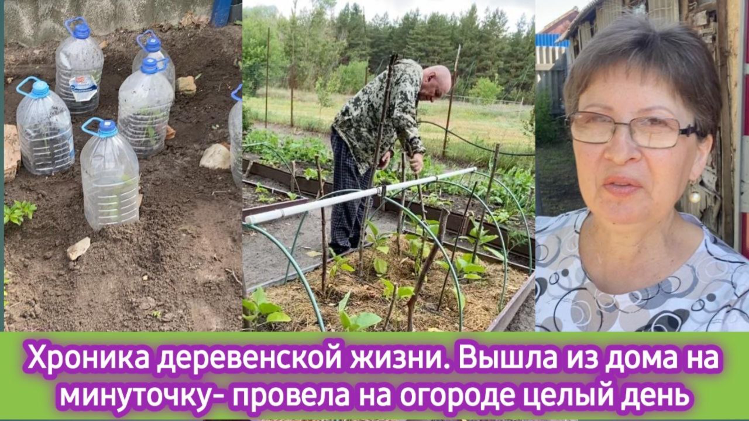Хроника деревенской жизни: вышла из дома на минутку и провела на огороде целый день! Черенкование смотреть онлайн