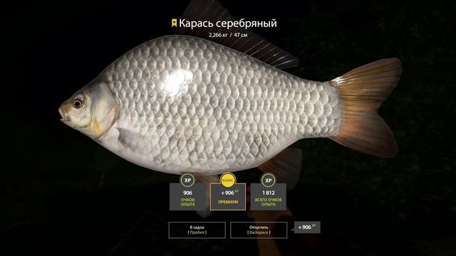 🌟Русская Рыбалка 4🎣Трофейный Карась Серебряный на оз.Медное🌟