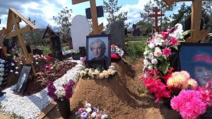 Алексей Веселкин