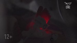 🕊 Простые чудеса с Павлом Астаховым. Не пропустите уже сегодня, в 21.05