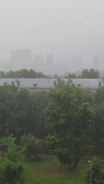 В городе дождь!