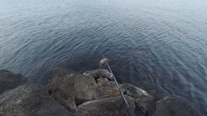 Морская рыбалка в Джубге: тирольская палочка и отводной поводок на Чёрном море!