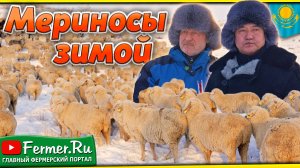 Ерагый Гишларкаев и Бауржан Оспанов. Будущее сельского хозяйства глазами тех, кто делает его сегодня