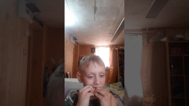 20250614_193547.mp4 смотреть онлайн