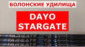 DAYO STARGATE (ДАЙО СТАРГЕЙТ) ОБЗОР БОЛОНСКИХ УДИЛИЩ | ЛУЧШИЕ БЮДЖЕТНЫЕ УДОЧКИ С КОЛЬЦАМИ