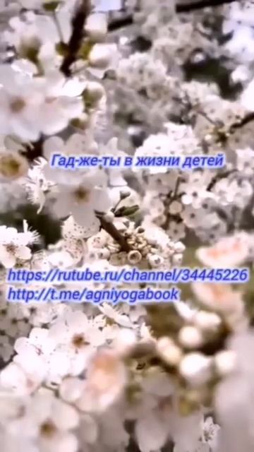 Уберегите детей от компьютерного рабства смотреть онлайн