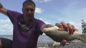 РЫБАЛКА НА РЕКЕ В ИЮНЕ. ЛОВЛЯ ЛЕЩА, КАРАСЯ НА ФЛЭТ. КОГДА ДВА ФИДЕРА МНОГО.