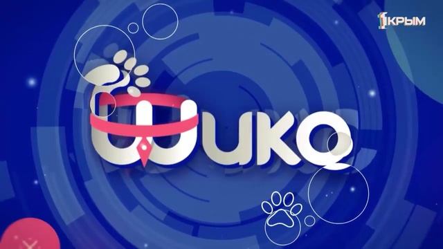 Клуб Шико. Выпуск от 14.06.25