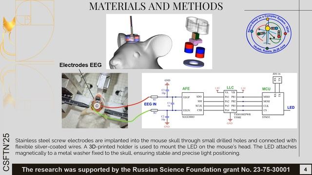 Development of an EEG System for Small Animals with Embedded Photobiomodulation смотреть онлайн