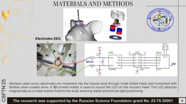 Development of an EEG System for Small Animals with Embedded Photobiomodulation