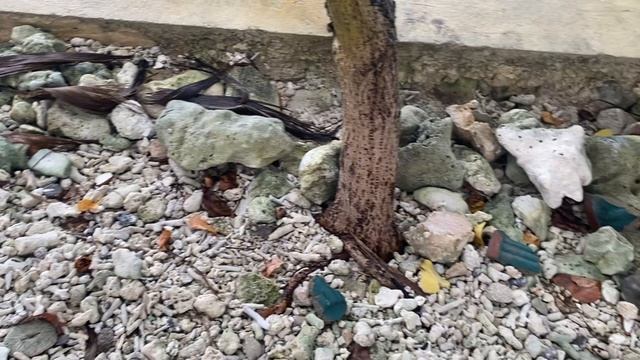 Обходим остров Фиха на Мальдивах | Эглет