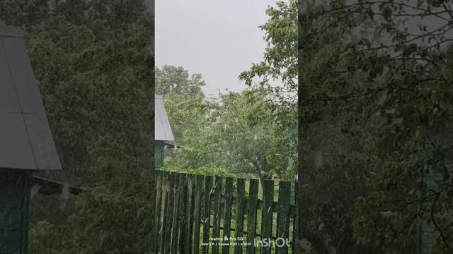 Сильный ливень с ветром в Подмосковье 09.06.2025 смотреть онлайн