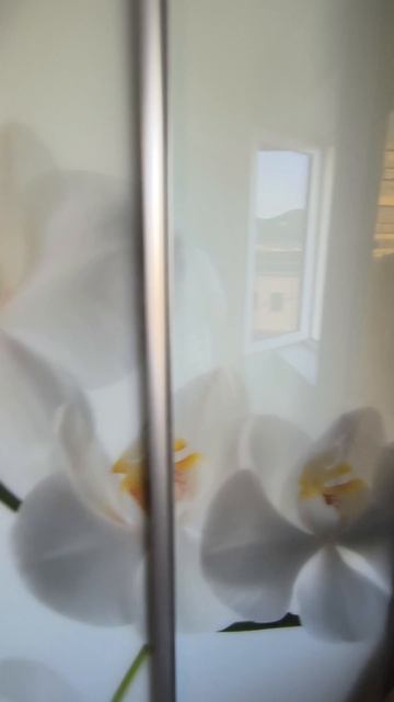 Комната Видова