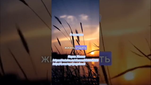 О Зависти смотреть онлайн