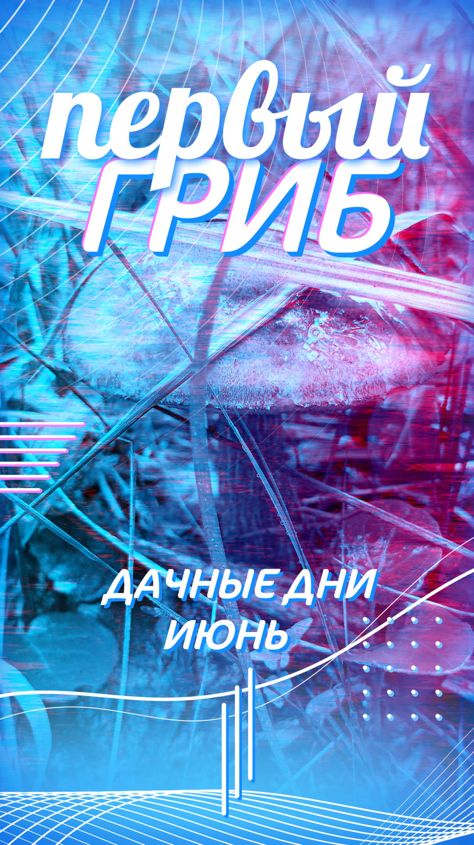 Найден первый гриб - подберезовик🍄🟫🌳🍄🟫🌲🍄🟫 смотреть онлайн