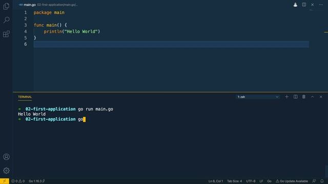 03 - Your First Go Application смотреть онлайн