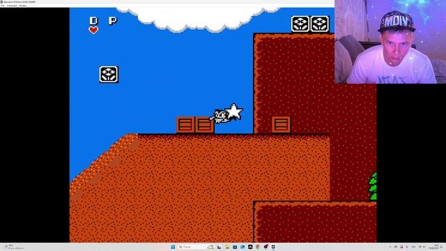 Chip And  Dale 1.Прохождение.