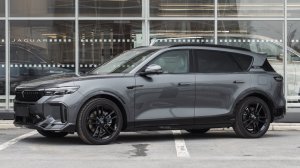 Voyah Free SE (Серый кузов, серый салон)