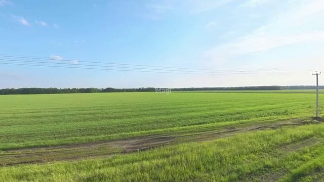 8502305, 8502328 смотреть онлайн