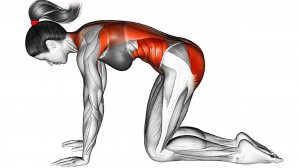 10 Растяжек которые следует делать Каждый День