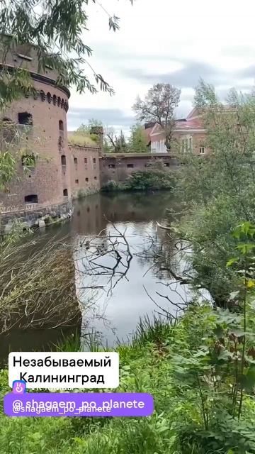 Калининград смотреть онлайн