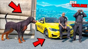Битва воров против копов в ГТА 5 Онлайн! Стал собакой и угнал все тачки!